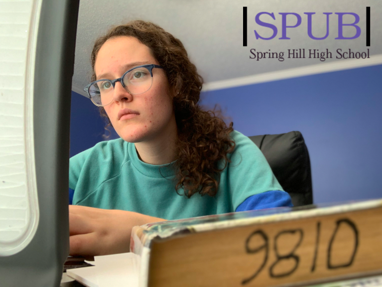 On Dec. 1, Hannah Smith, online learner, 12, works on her daily school work. She says she always tries to always sit at a desk when she works, but sometimes that alone isn’t enough to keep her motivated (Photo Illustration by H.Smith). 