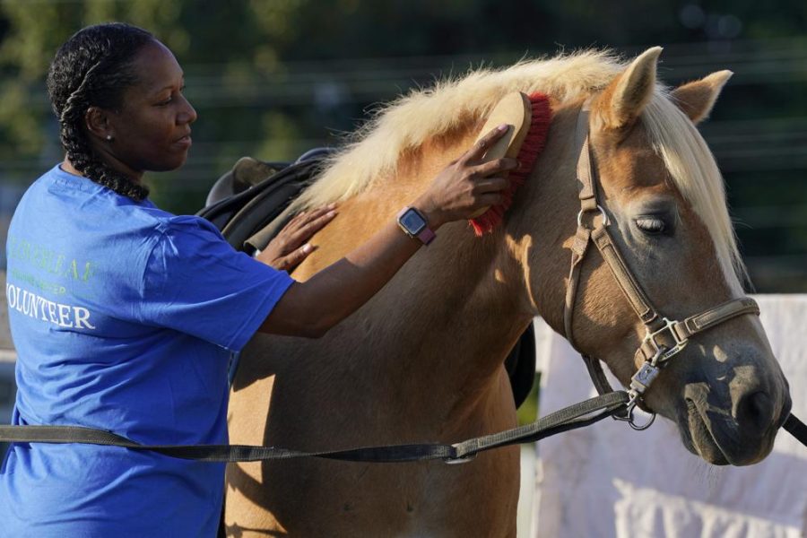 Dionne Williamson grooms her horse before going on her riding lesson (photo courtesy AP News).