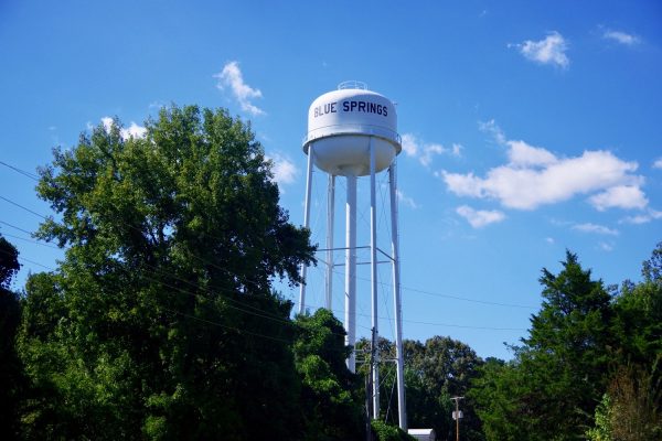 Water towers can be seen throughout cities, but are overlooked. These are the center of something that we depend on in our daily lives (B. Stansberry). 
