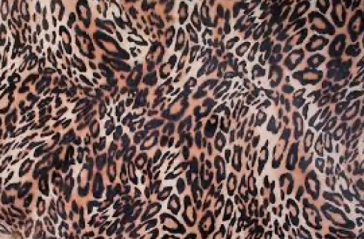 Realistic, detailed leopard print is in style this spring, good for any article of clothing (Photo by R. Pixel)