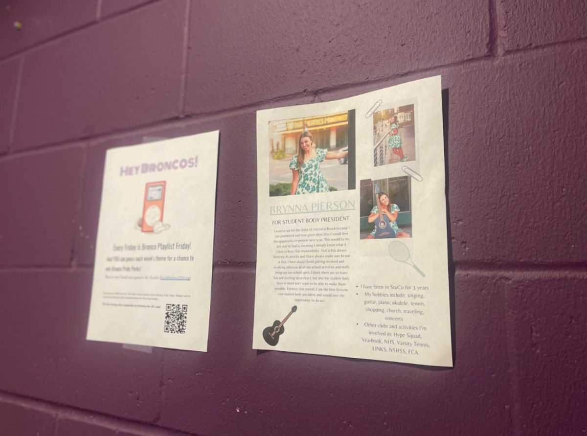 During campaign week, students running put posters around the school to encourage voters to vote for them. Brynna Pierson, 11, won Student Body President with the help of their posters that were all around the school. (Photo by Brynna Pierson). 