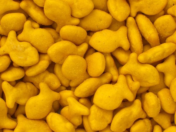 Navigation to Story: Goldfish Changes Brand Name