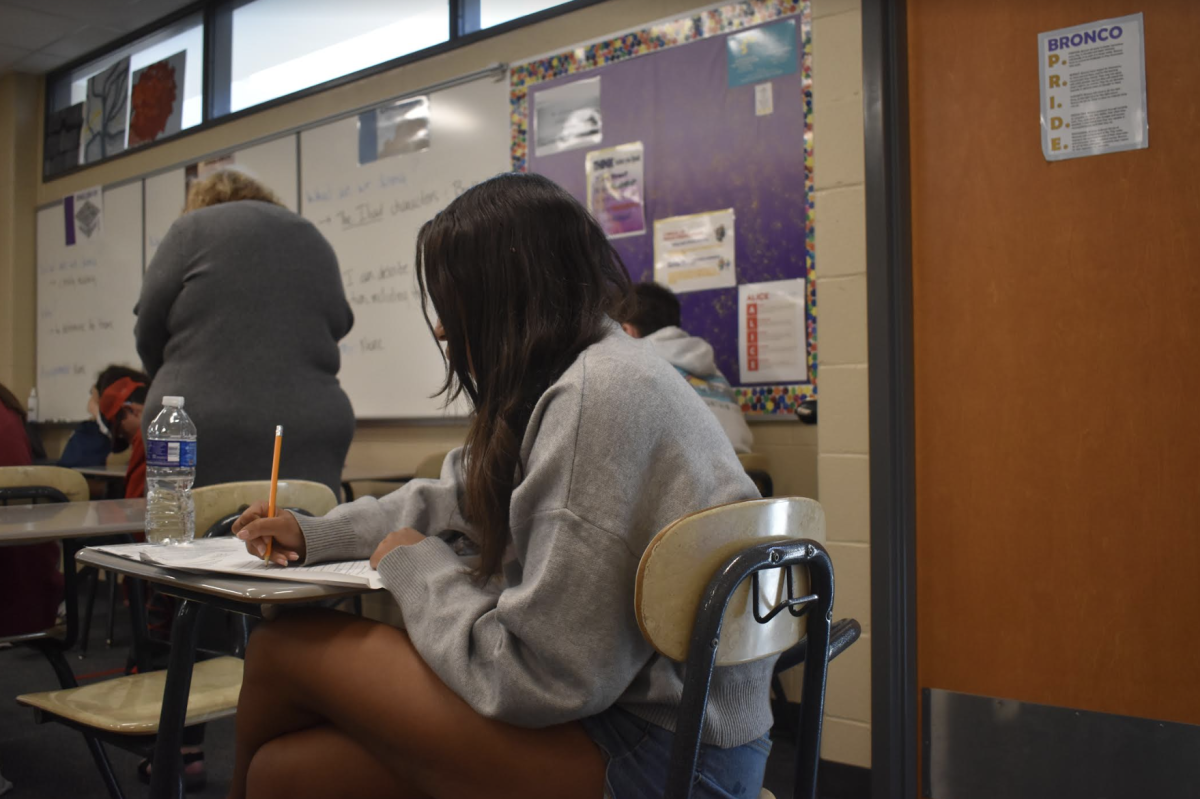 Laila Bryant, 10, works in Andi Husted's English II class. English II  is known to go at a slower pace than honors English II. (Photo by P. Creach) 