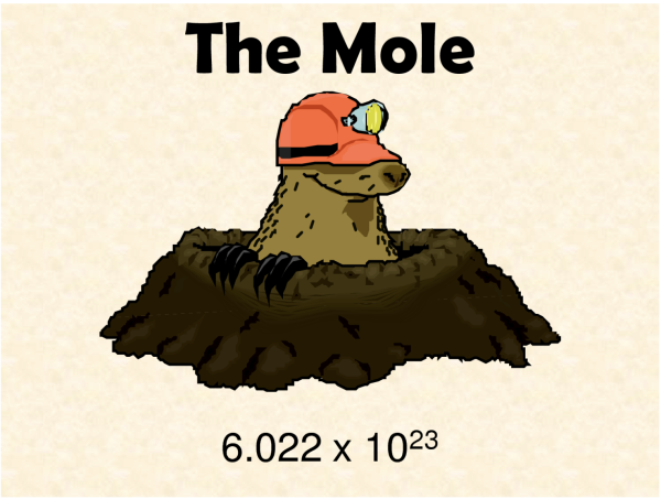 Navigation to Story: Chemistry Classes Celebrate Mole Day