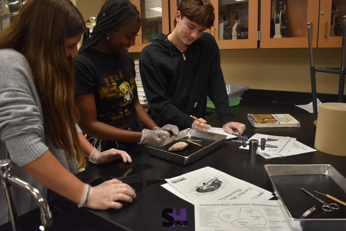 On Nov. 19, Jaleigh White, Taisha Charles, 12, and Austin Wright, 11, dissect a sheep brain in anatomy class.