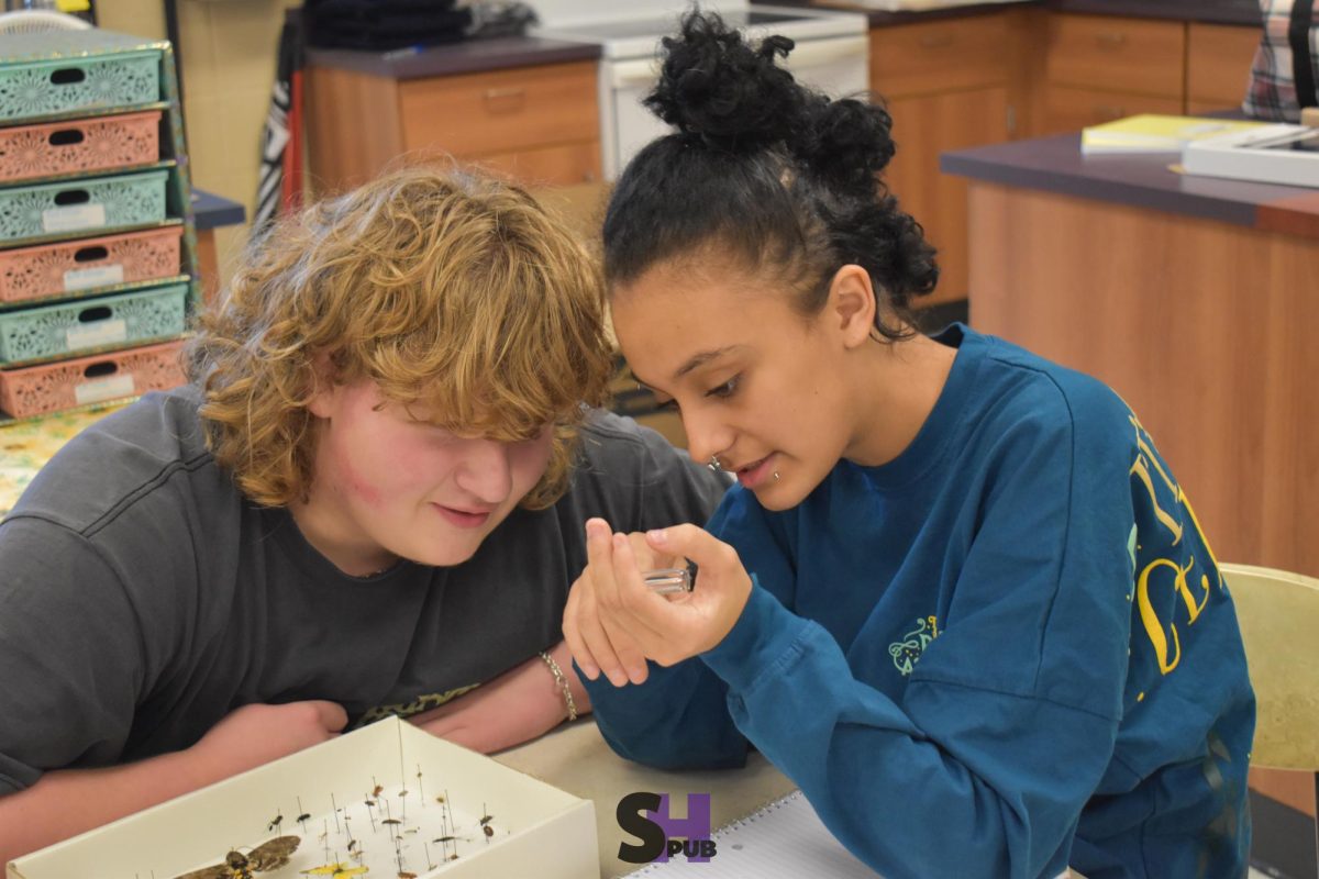 Madden Oswald and Miley Nichols, 11, examine bugs that people collected and froze to study for an entomology contest Nov. 18.