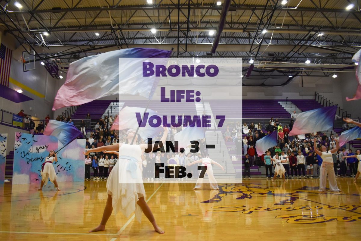 Members of the winter guard perform their show “To the Sky” with music by Owl City at the winter homecoming pep assembly Jan. 16. The guard took the show to the Blue Springs South Winter Guard Competition and placed first in early February.