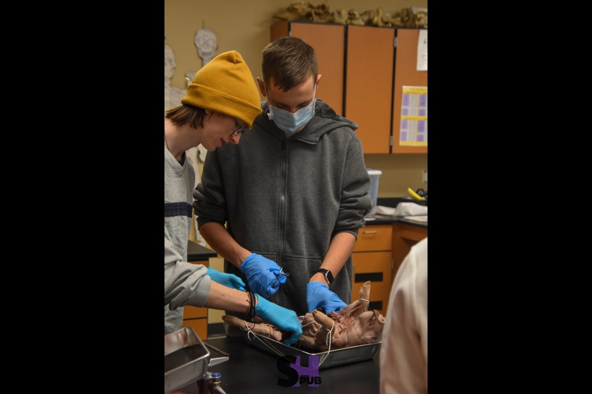 On Feb. 5, Jace Nelson, 11, and Anderson Talbott, 11, dissect a pig in anatomy and physiology.