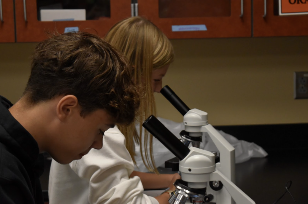 Peering through their microscopes, [Brock] Laplante’s freshman Biology class has a hard time pretending they’re not interested. From sharp angles to swirling cells, there’s no predicting what could be seen.
