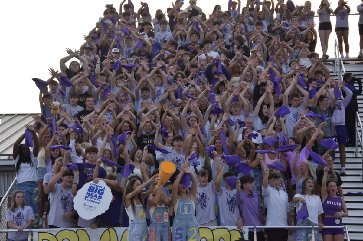 Students dress in purple and gold at a Friday night varsity football game. Although spirit days may lose many students in regards to participation, football game student sections tend to show the exact opposite.