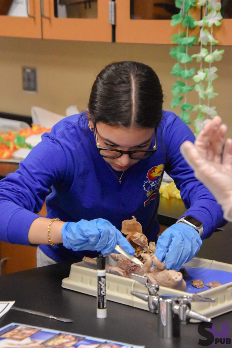 On Feb. 4, Braydn Niehues, 11, dissects a fetal pig in third hour anatomy. 