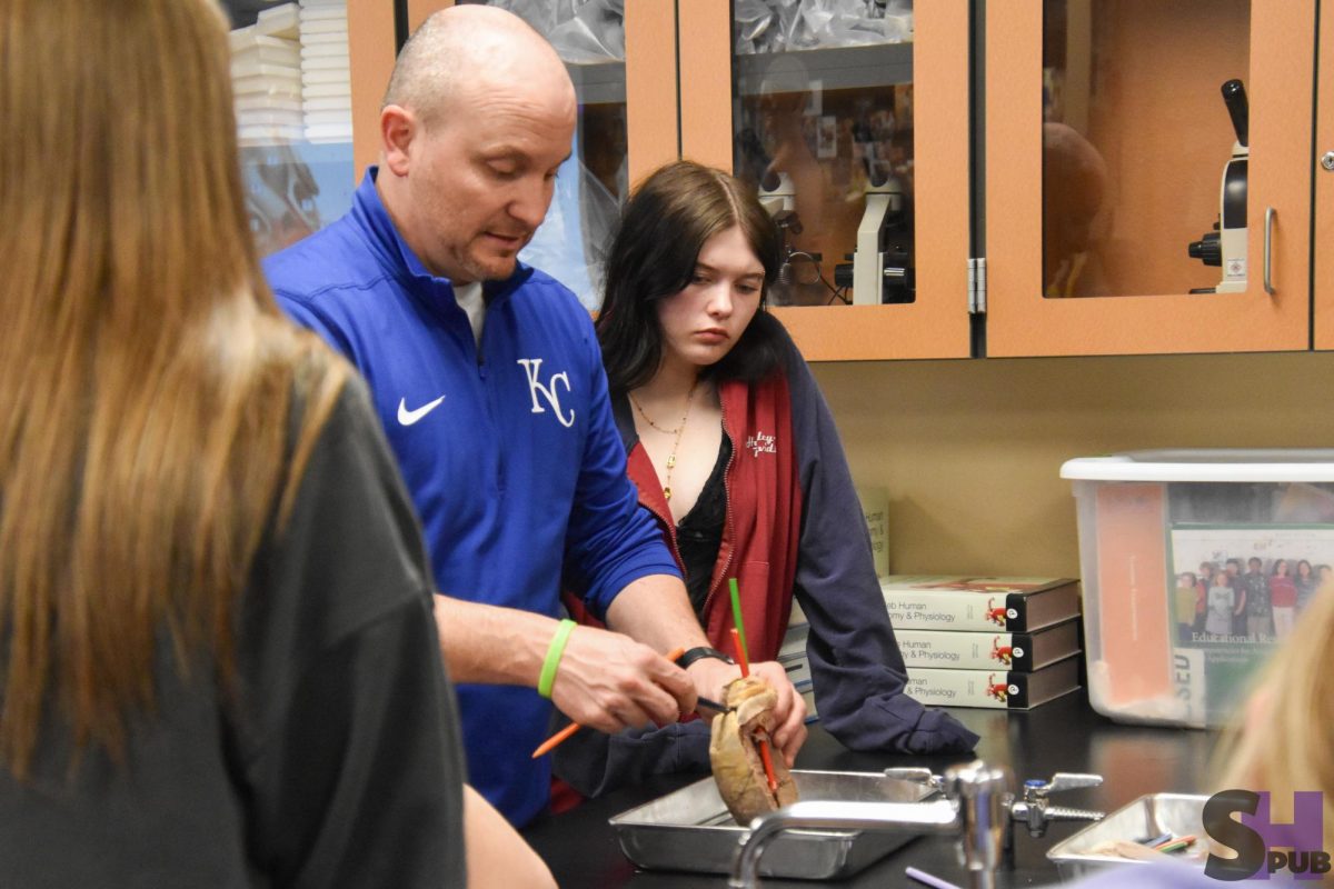 On April 4, William Meier, science teacher, shows Charlee Sandberg, 11, the different areas of a sheep heart using colored pencils.